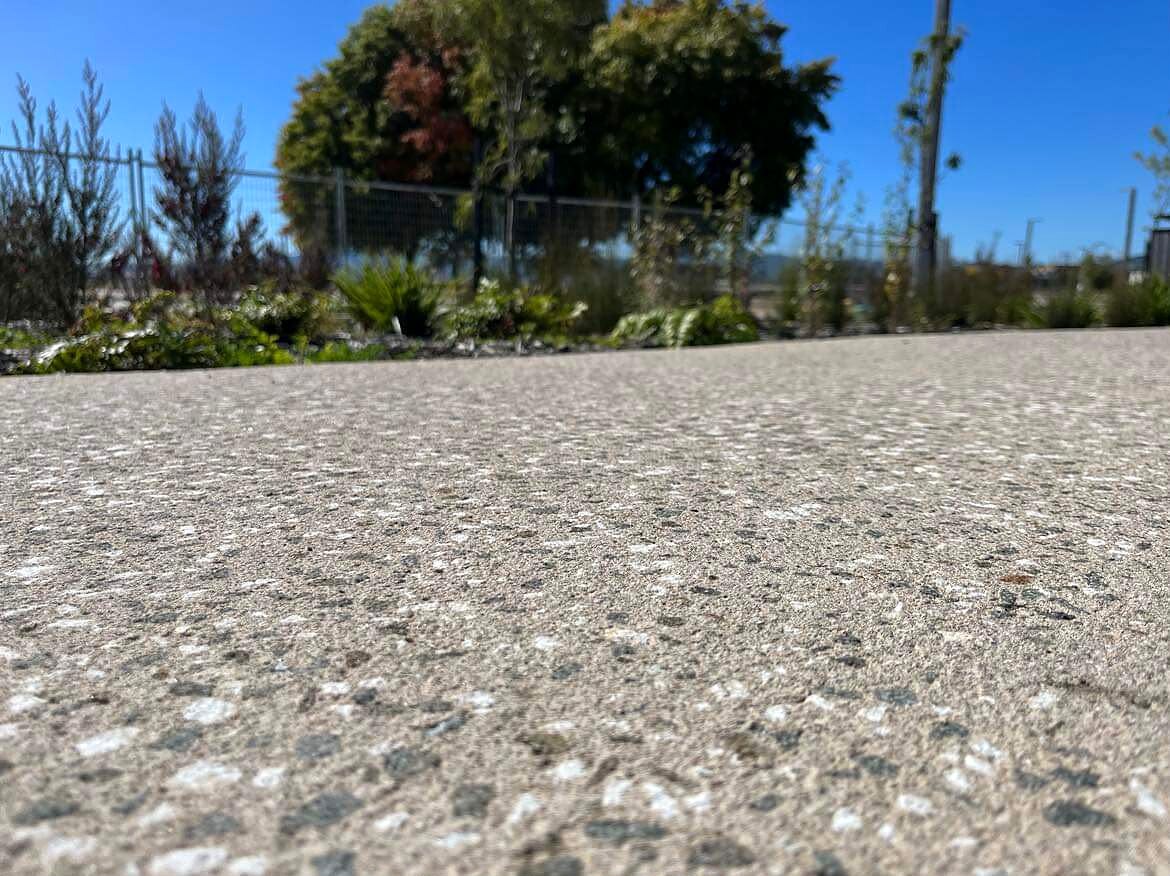 Low angle view of an exposed aggregate concrete path